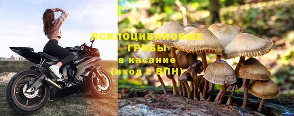 мет Покачи